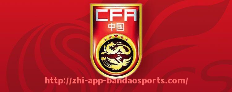 半岛体育app-2024-2025赛季法甲赛季回顾与综合数据分析报告